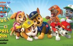 Image for PAW PATROL LIVE!  10AM-Race to the Rescue