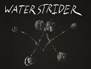 Image for McMenamins Presents: WATERSTRIDER, NINE POUND SHADOW, BITCH'N, All Ages