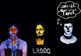 Image for Animal Collective
