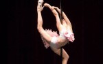 Image for The Blue Note Presents MUSE POLE FITNESS 4TH ANNUAL SPRING SHOWCASE