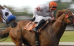 Image for Horse Racing - Saturday, June 24, 2017