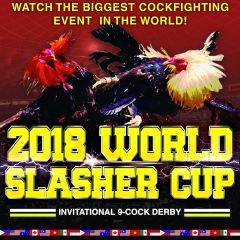 Image for 2018 WORLD SLASHER CUP FEB 5*