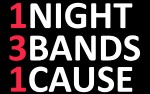 Image for 1 Night, 3 Bands, 1 Cause Benefit Show