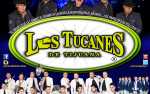 Image for Los Tucanes de Tijuana