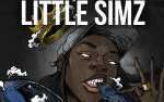 Image for Little Simz *CANCELLED*
