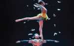 Image for SHANGHAI ACROBATS