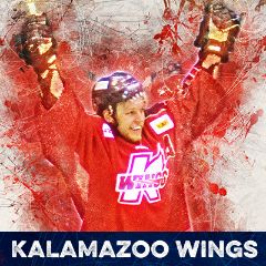 Image for Kalamazoo Wings vs Adirondack Thunder
