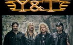 Image for Y&T 18+