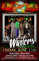 Image for THE WAILERS
