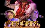 Boykin Series 27: Bee Gees GOLD