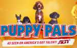 Image for Puppy Pals Live!