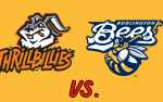 Image for Thrillville Thrillbillies vs. Burlington Bees
