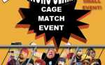 Micro-Wrestling All Stars