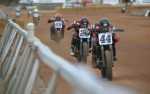 Image for Flat Track Motorcycle Races
