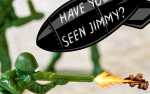 Image for HAVE YOU SEEN JIMMY?