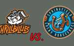 Image for Star Wars Night vs. Springfield Lucky Horseshoes