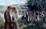 Image for FILM The Princess Bride