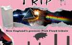 Image for Floydian Trip - Pink Floyd Tribute