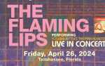 The Flaming Lips