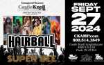 Image for HAIRBALL with Super Bee