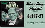 Image for Young Frankenstein - Musical
