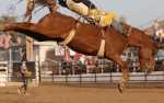 111th Annual Clovis Rodeo Thursday