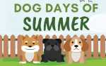 Image for Dog Days of Summer