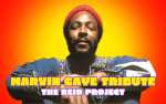 Image for Marvin Gaye Tribute by The Reid Project - An evening of your favorite songs by Marvin Gaye and friends