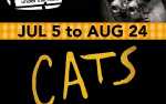 Image for CATS -   Fri, Aug 23, 2024