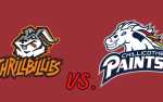 Image for Bark in the Park Night vs. Chillicothe Paints
