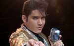 Image for Elvis | The Concert of Kings