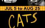 Image for CATS -  Wed, Jul 24, 2024 (Fireworks Night)
