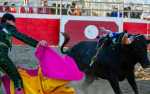 Portuguese Bloodless Bullfights