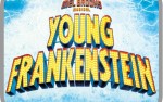 Image for The Mel Brooks Musical: Young Frankenstein