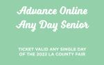 Image for Online Senior Valid Any Day