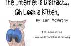 Image for The Internet is Distracting...Oh, Look a Kitten!