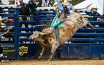 Image for Xtreme Bulls Friday 7 PM  - Sold out!
