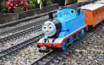 Thomas in the Garden Day Train Ride