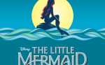 HRT's "The Little Mermaid"