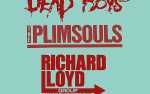 Dead Boys, The Plimsouls and The Richard Lloyd Group