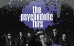 Image for The Psychedelic Furs: Made of Rain 2022 Tour