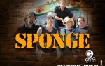 Image for Sponge