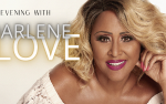 Image for AN EVENING WITH DARLENE LOVE