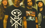 Image for Hed PE
