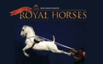 Image for GALA OF THE ROYAL HORSES