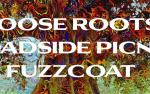 Image for Loose Roots, Roadside Picnic, Fuzzcoat