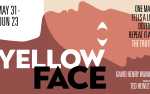 Image for Yellow Face
