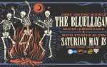 The Bluelligans w/ Purple Blues "Live on the Lanes" at 2454 West (Greeley)