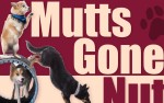 Image for Mutts Gone Nuts!