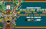 Image for Diggin Dirt w/ Special Guests "Live on the Lanes" at 830 North: Presented by Mishawaka